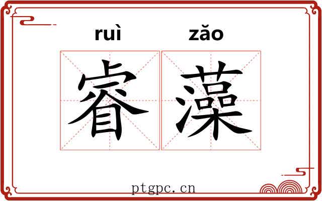 睿藻