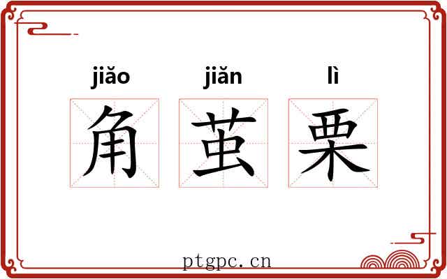 角茧栗 角茧栗