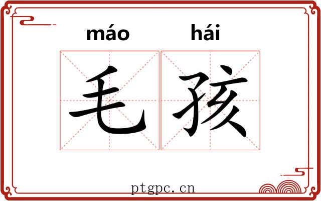 毛孩 毛孩