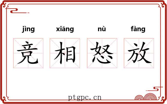 竞相怒放 竞相怒放