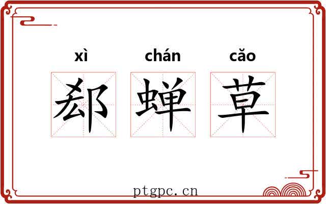 郄蝉草