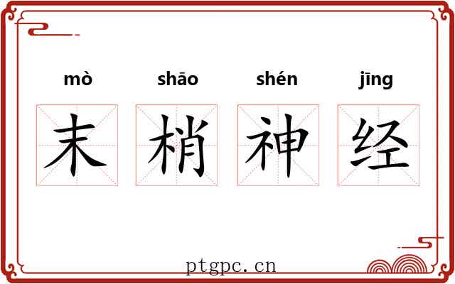 末梢神经 末梢神经