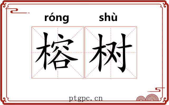 榕树 榕树