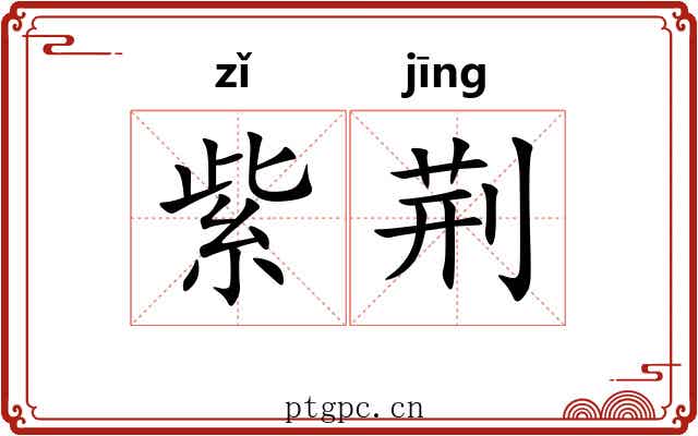 紫荆 紫荆