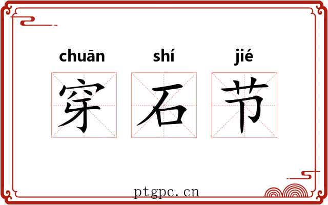 穿石节 穿石节