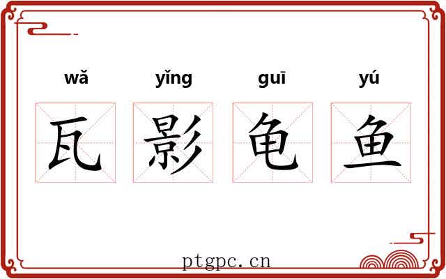 瓦影龟鱼 瓦影龟鱼