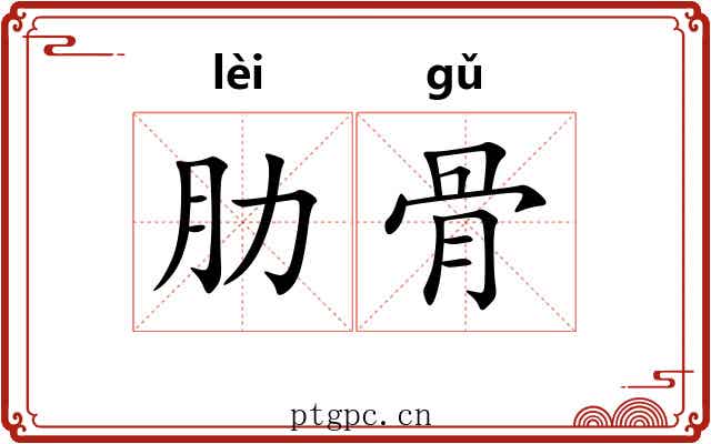 肋骨