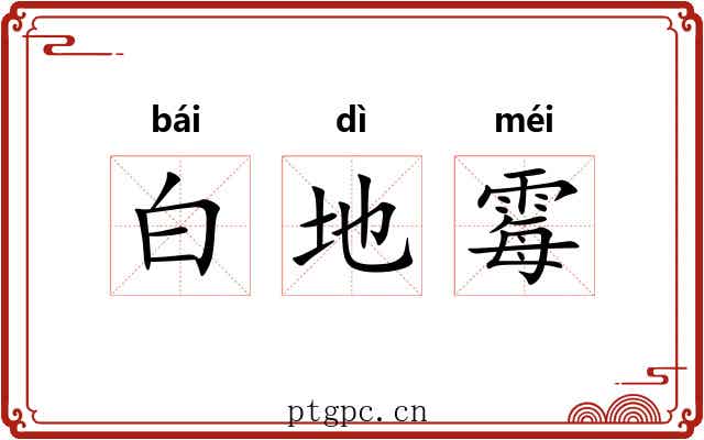 白地霉 白地霉