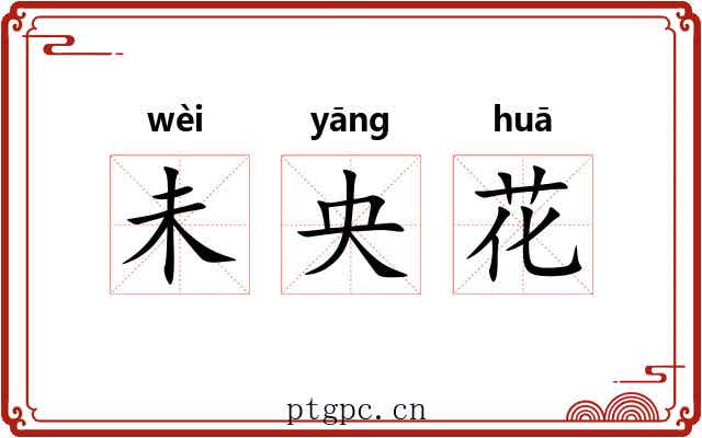 未央花 未央花