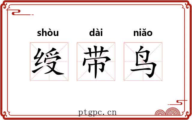 绶带鸟