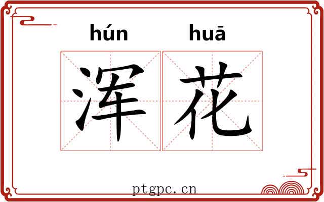 浑花 浑花
