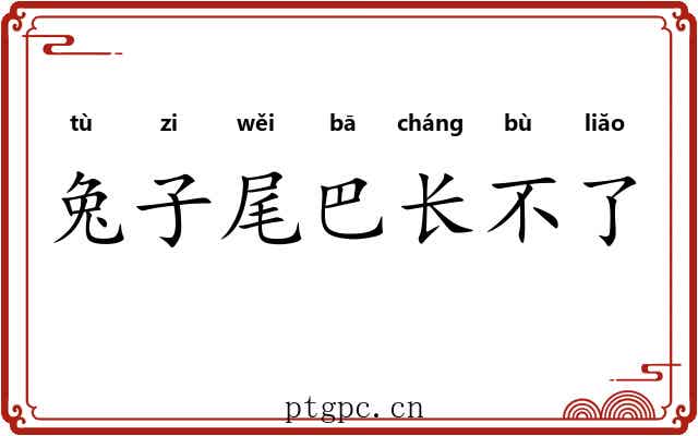 兔子尾巴长不了