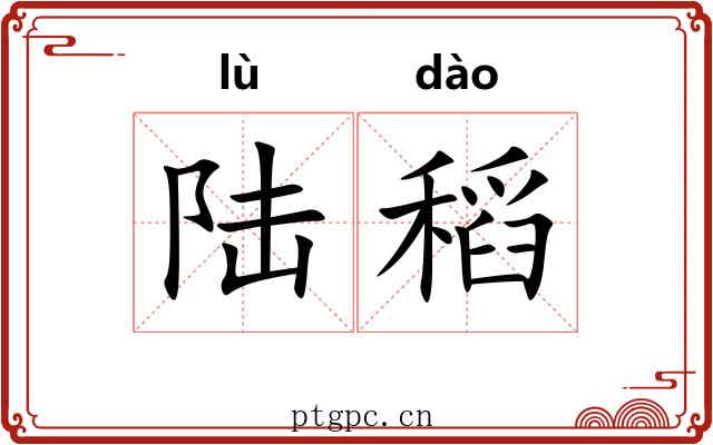 陆稻