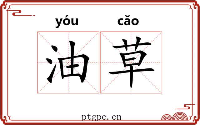 油草 油草
