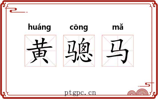 黄骢马