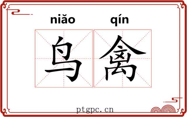 鸟禽