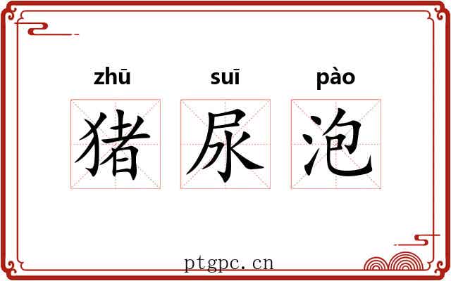 猪尿泡 猪尿泡