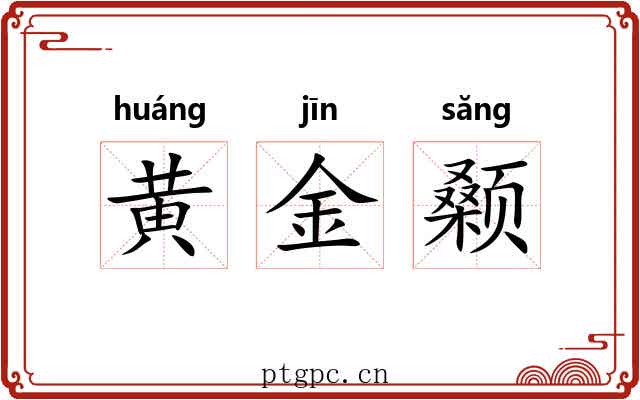 黄金颡
