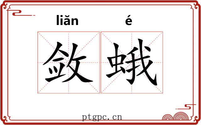 敛蛾