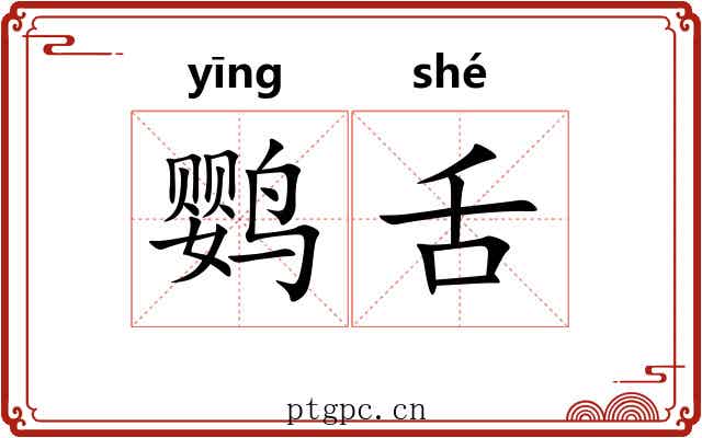 鹦舌