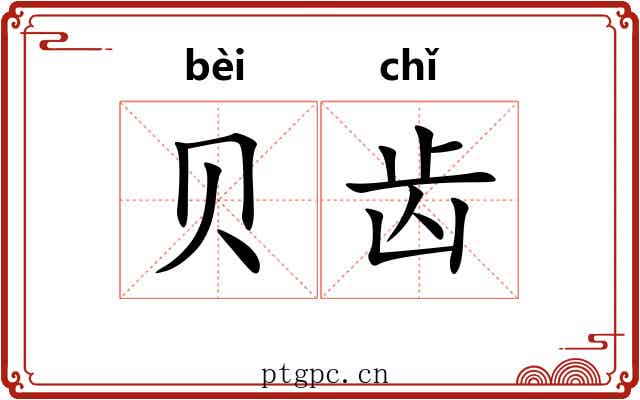贝齿