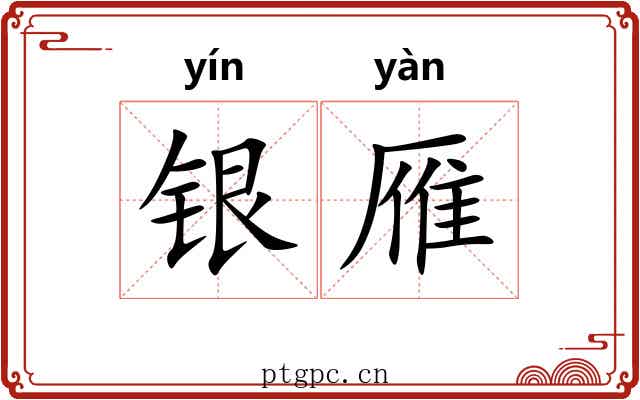 银雁 银雁