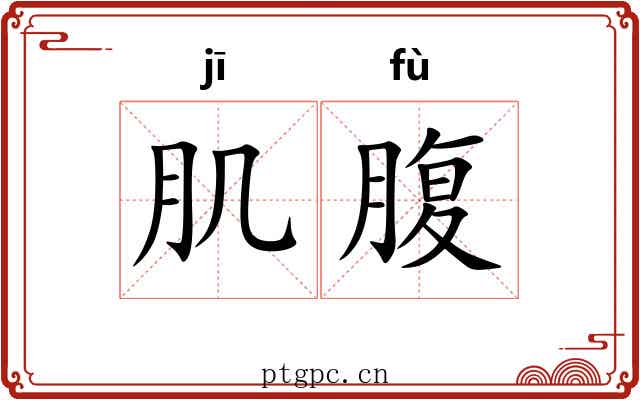 肌腹
