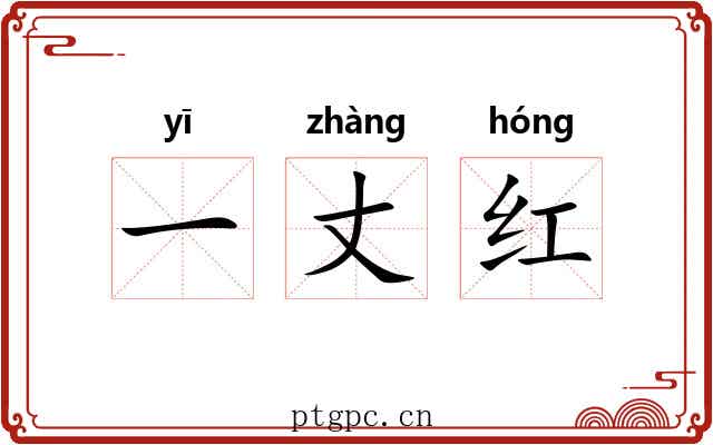 一丈红