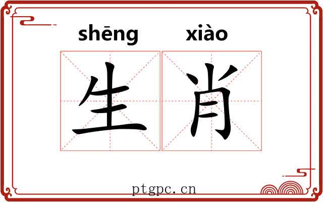 生肖 生肖