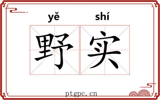 野实 野实