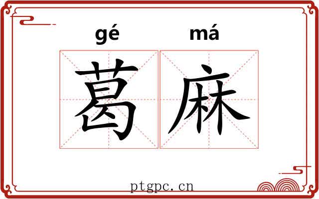 葛麻 葛麻