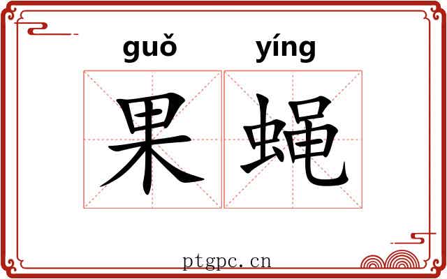 果蝇