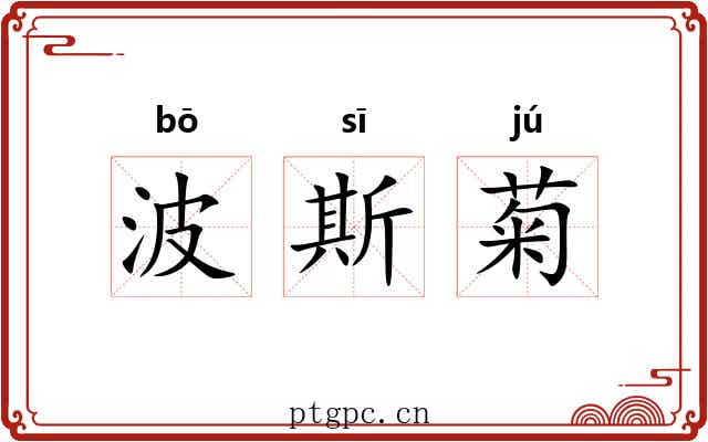 波斯菊 波斯菊
