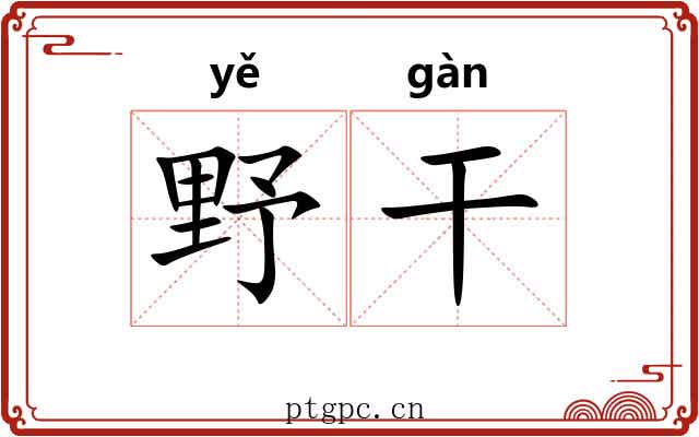野干 野干