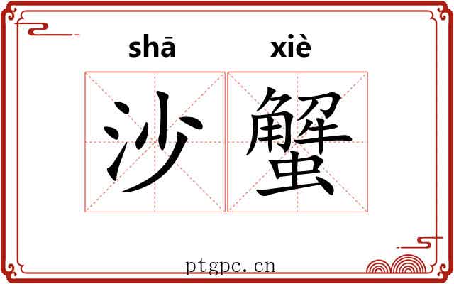 沙蟹 沙蟹