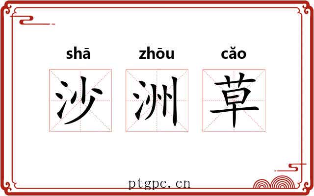 沙洲草