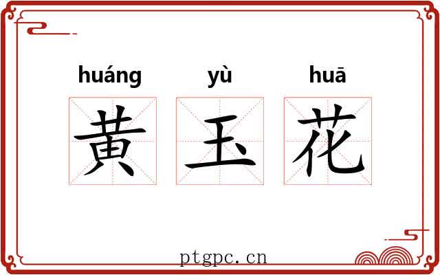 黄玉花 黄玉花