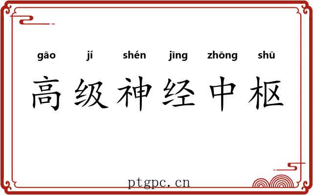 高级神经中枢 高级神经中枢