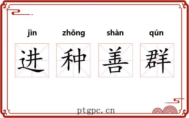 进种善群 进种善群