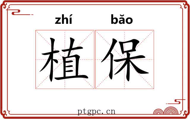 植保 植保