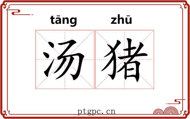 汤猪