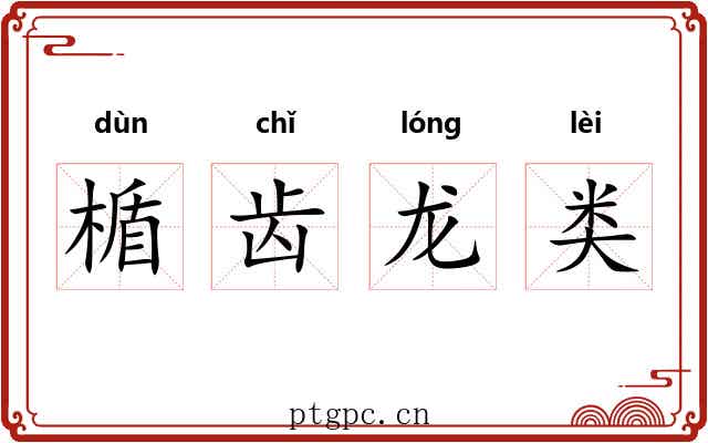 楯齿龙类 楯齿龙类