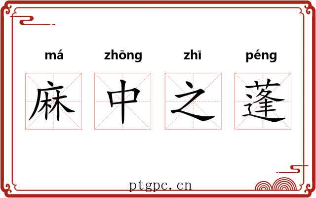 麻中之蓬 麻中之蓬