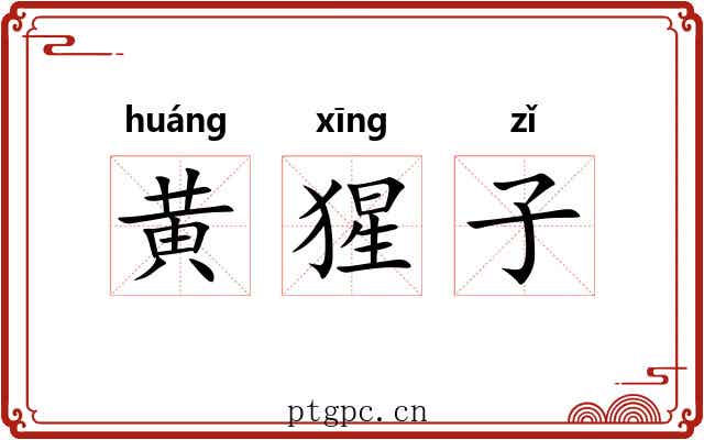 黄猩子 黄猩子