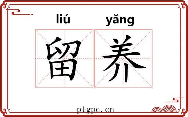 留养 留养
