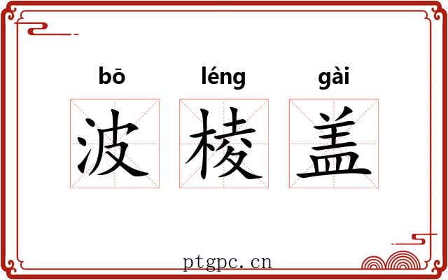 波棱盖 波棱盖