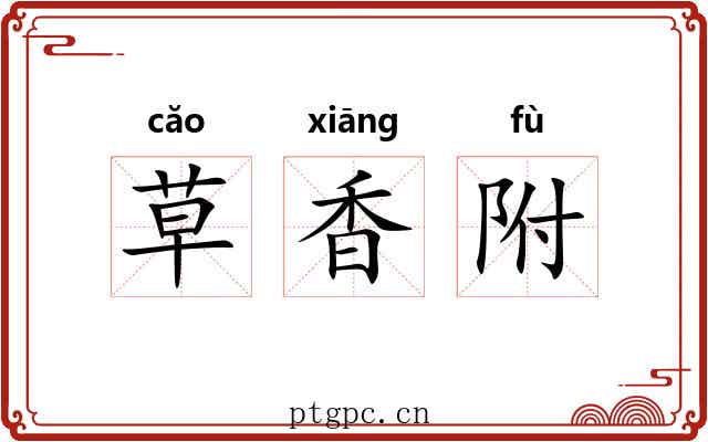 草香附 草香附