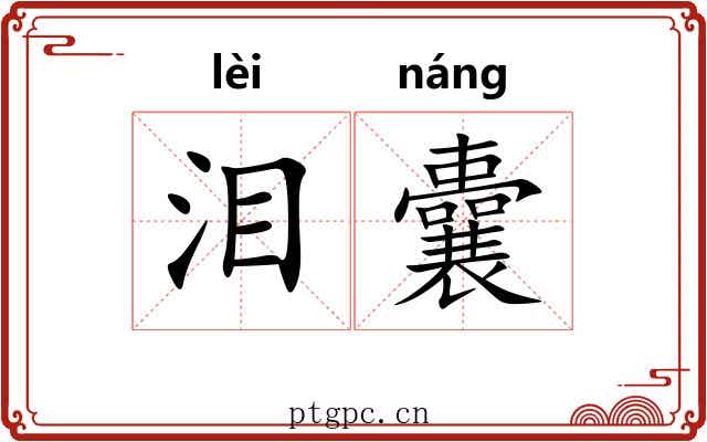 泪囊 泪囊