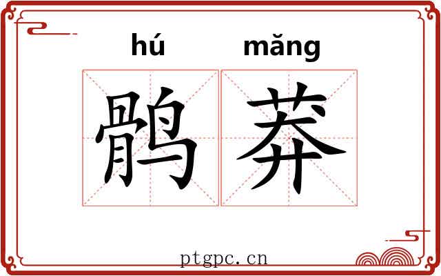 鹘莽