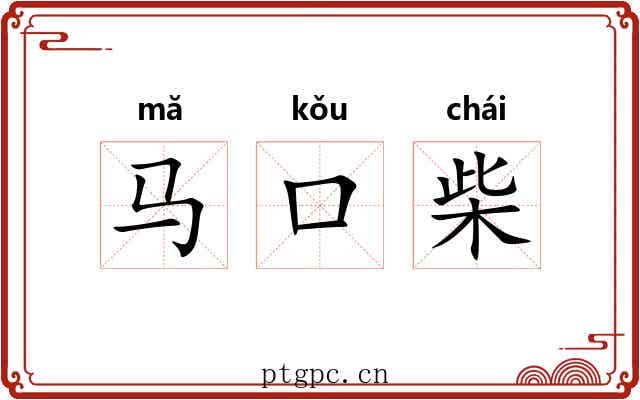 马口柴 马口柴